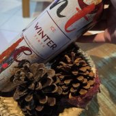 Vinho Frisante - Ice Winter - Tinto